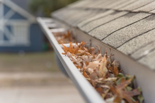 Leaf Barrier Installation in Cumming